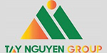 Tay Nguyen Group